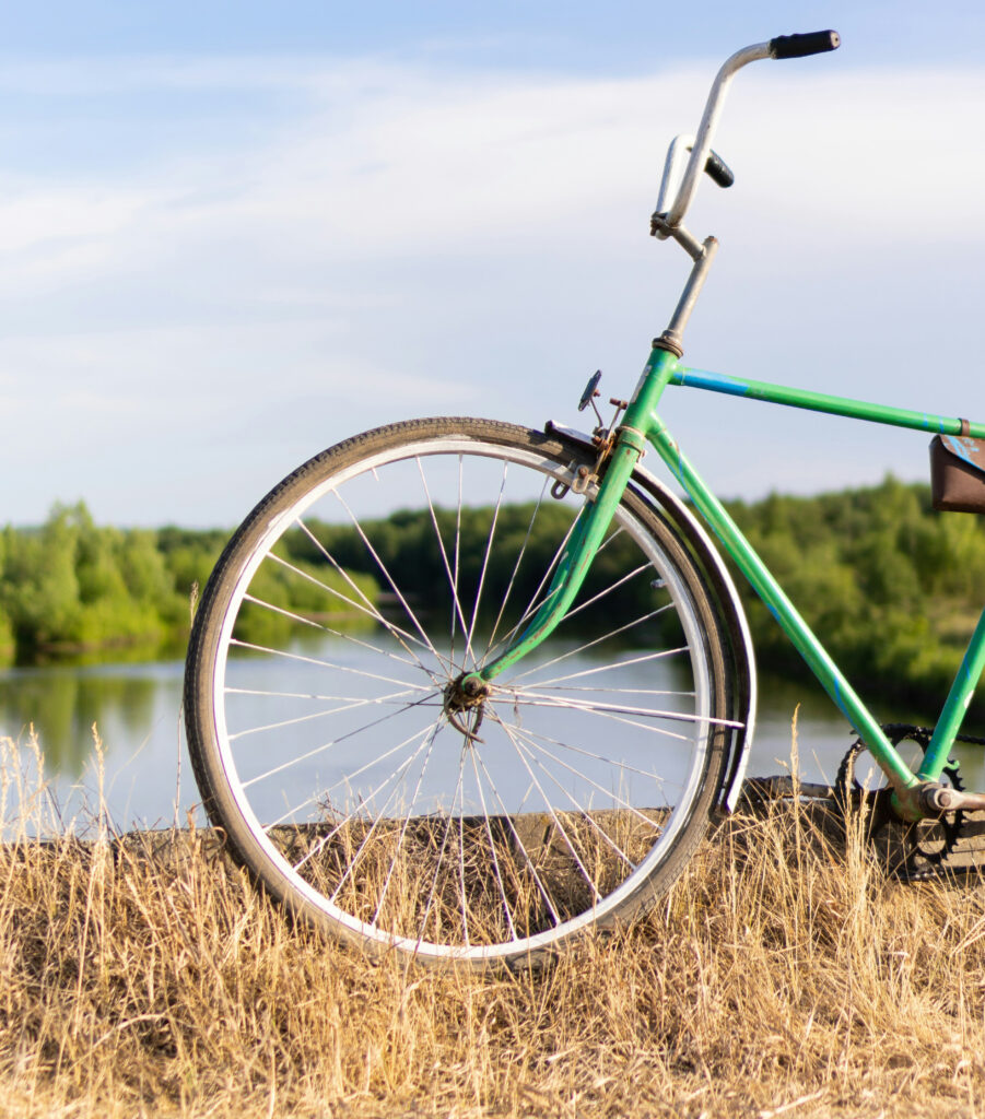 Ein grünes Fahrrad steht auf einer trockenen Wiese am Ufer eines Gewässers, vor einer Kulisse aus Wald und blauem Himmel.